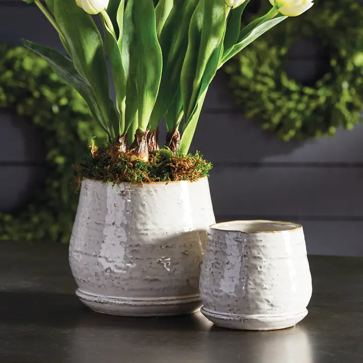 Morning Dew Pot