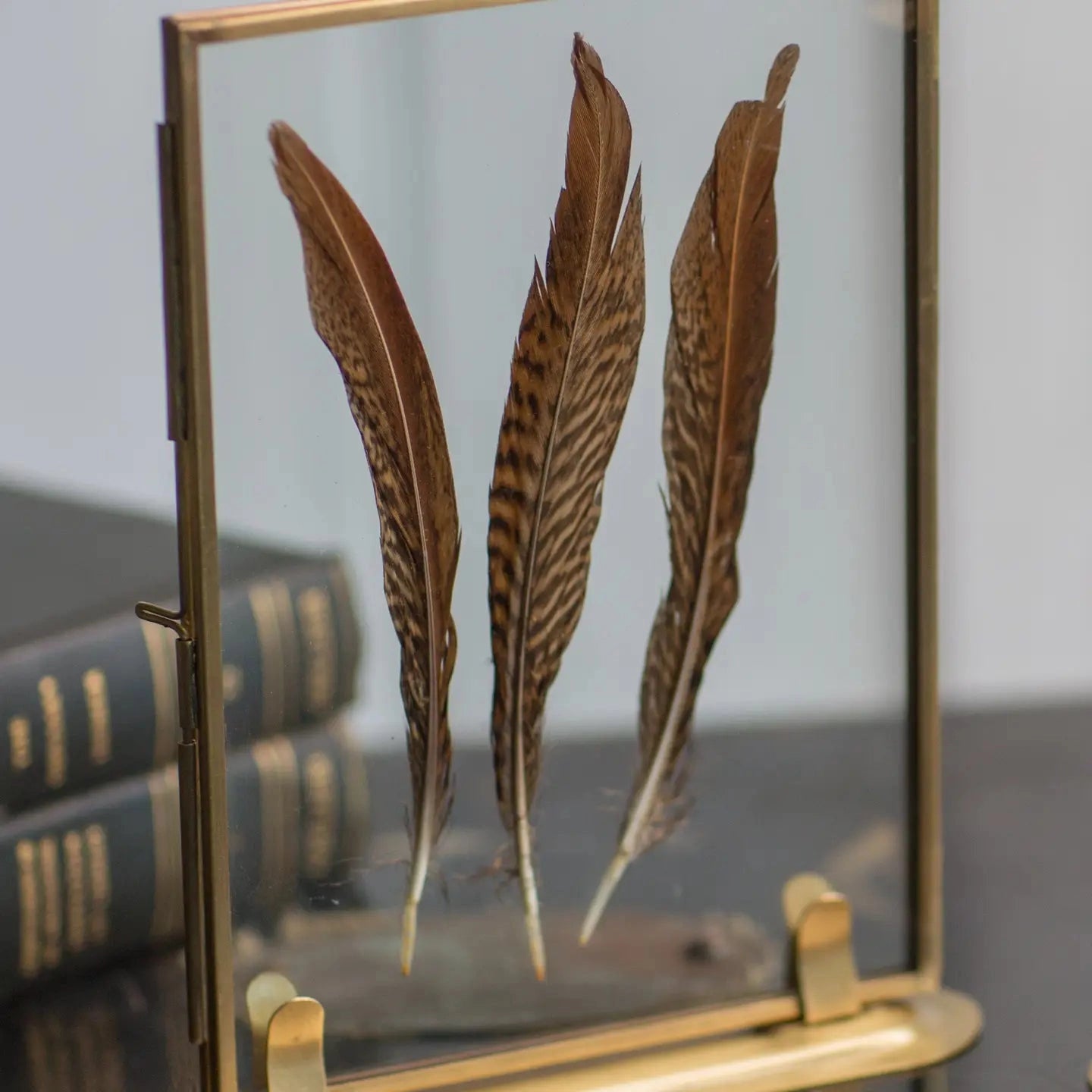 Solid Brass Frame with Stand and Feathers