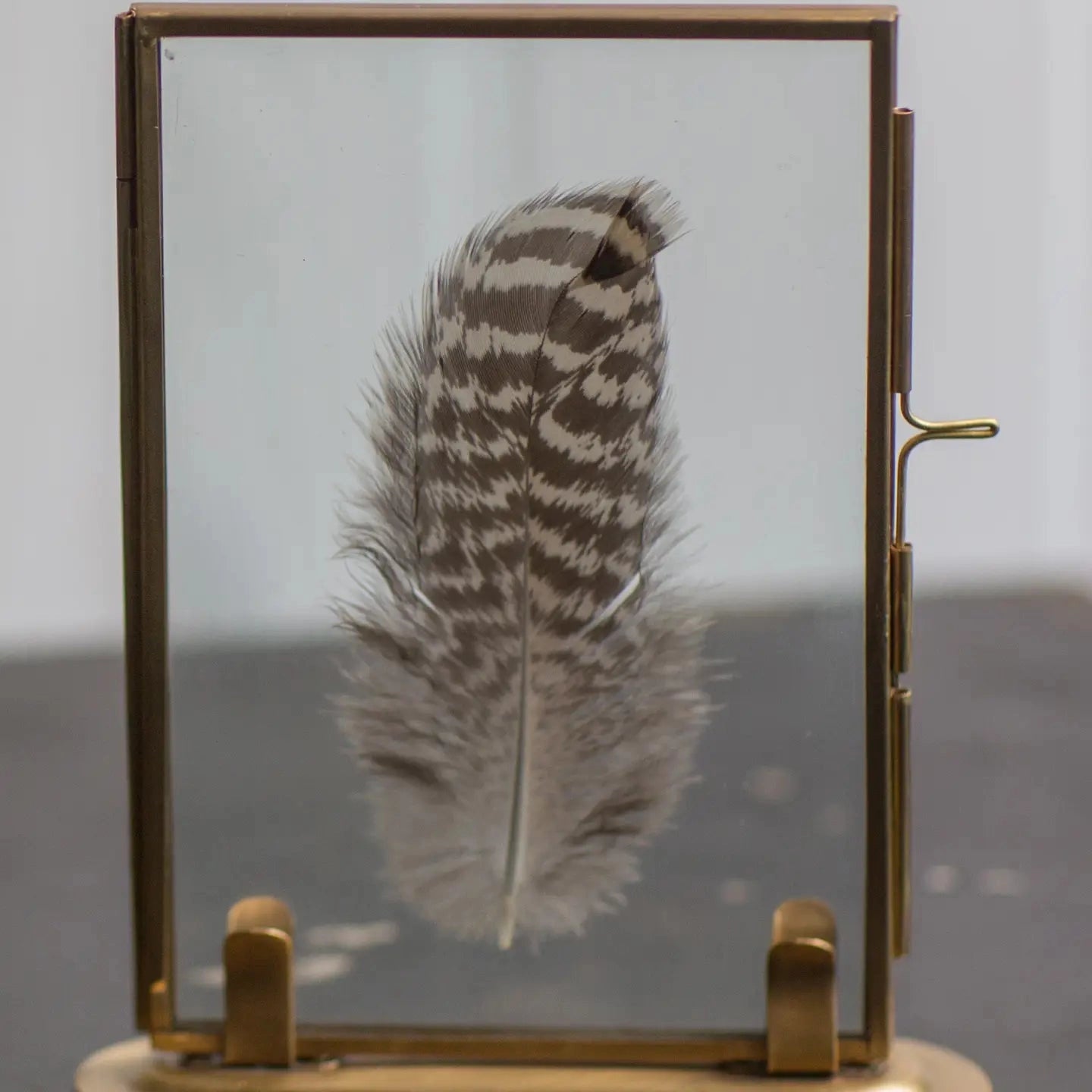 Solid Brass Frame with Stand and Feathers