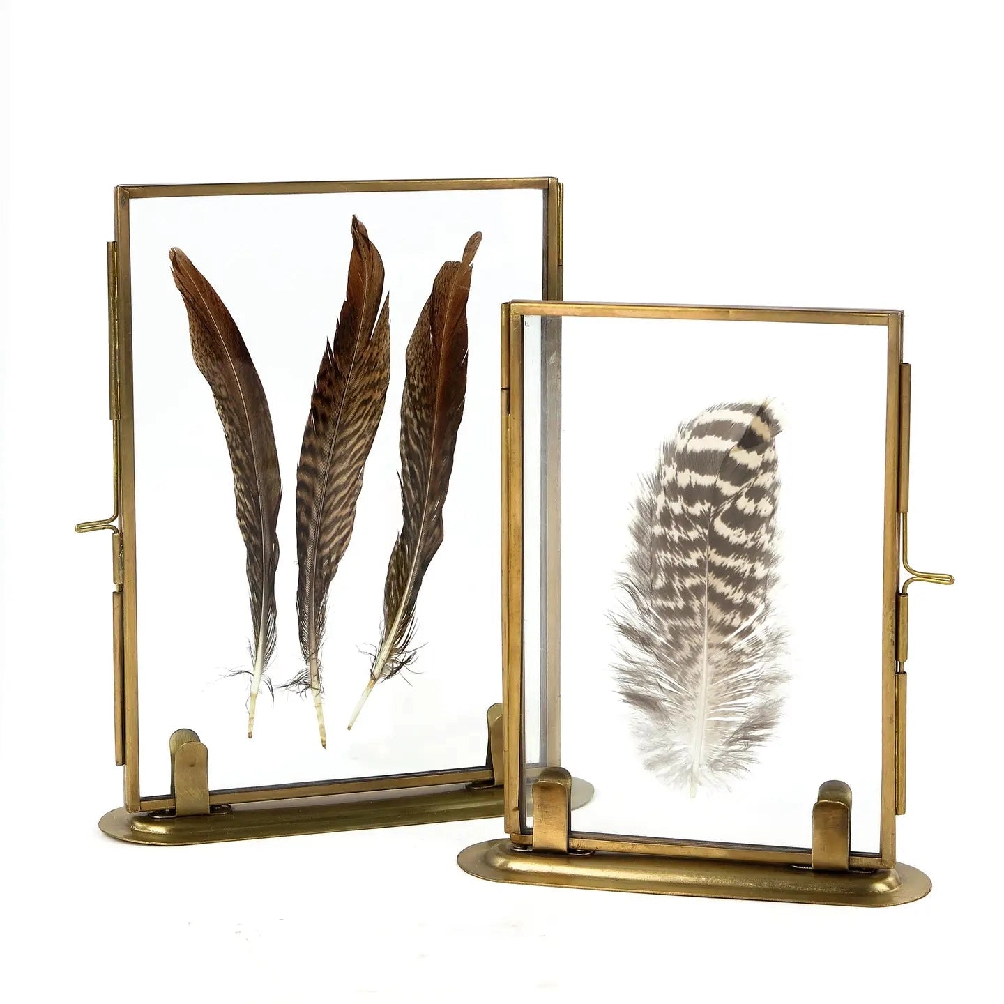 Solid Brass Frame with Stand and Feathers