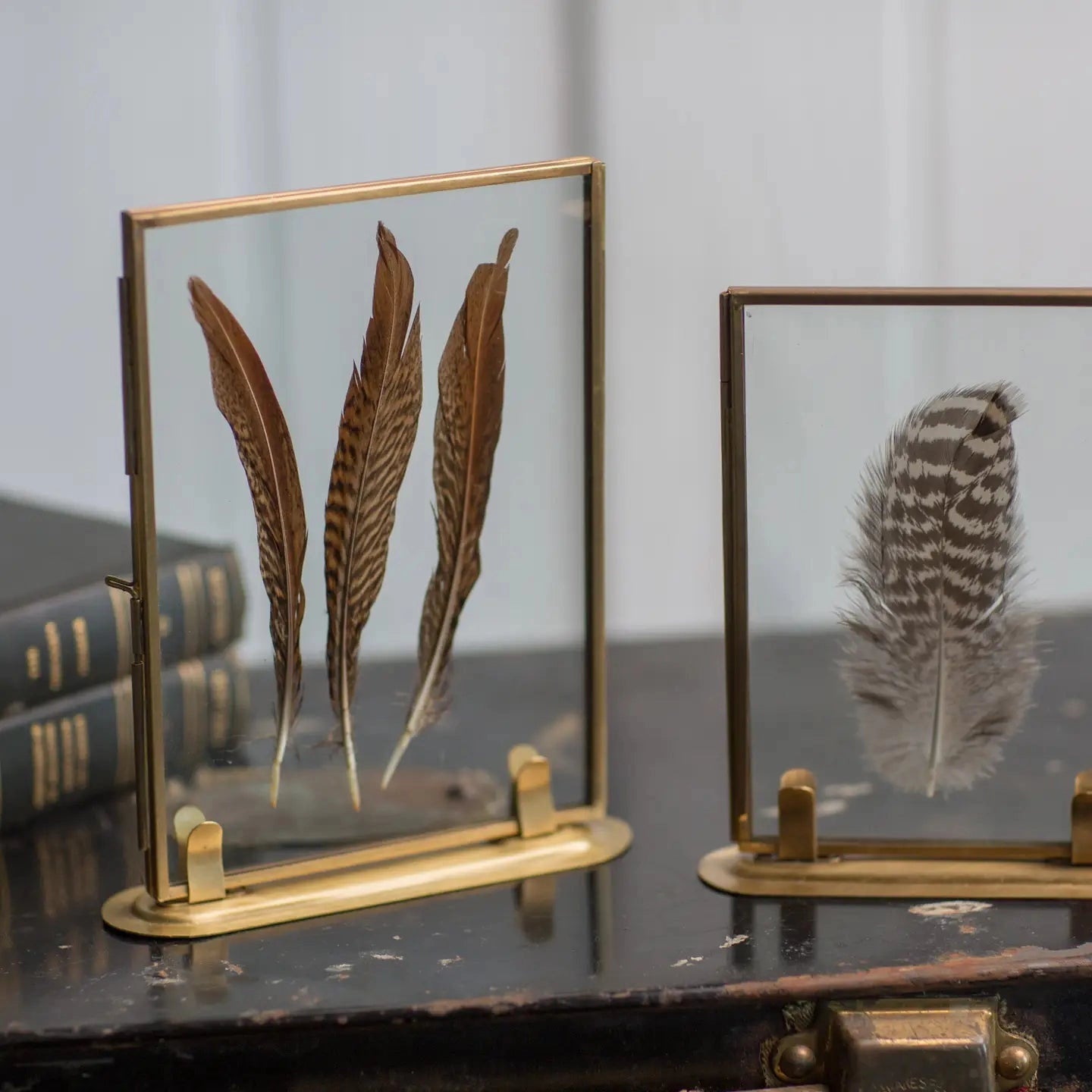 Solid Brass Frame with Stand and Feathers