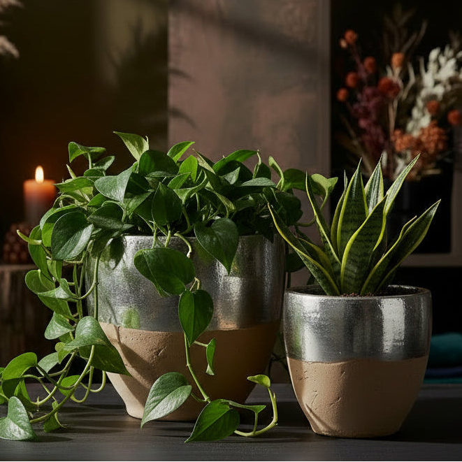 Metalized Horizon Pot
